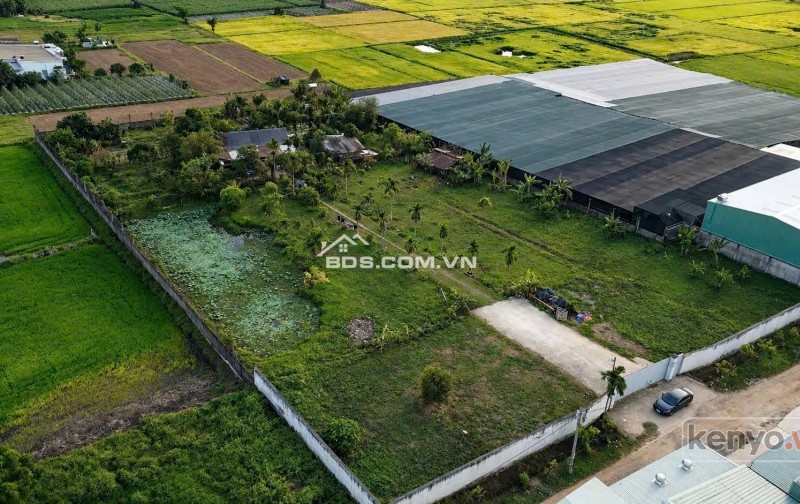 ĐẤT LỚN MẶT TIỀN XUÂN THỚI SƠN – GẦN 6400M² – NGANG 65M CÓ THỔ CƯ